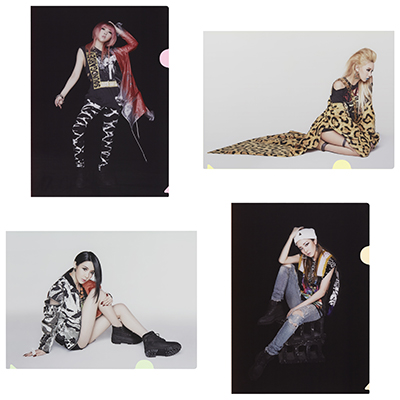 Clear File (Set of 4)
